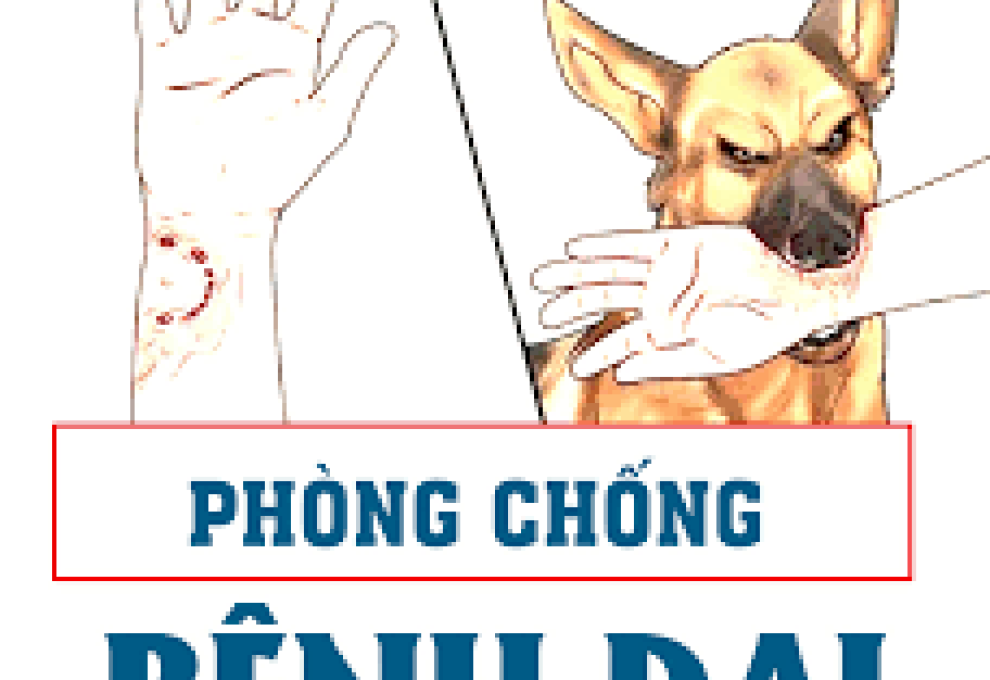 y tế